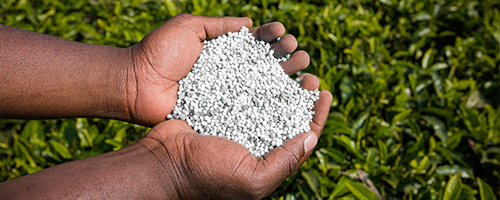 Holding Brera fertiliser