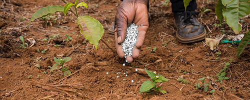 Brera Fertilizer
